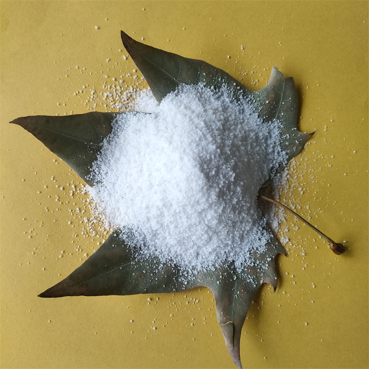 �۱�ϩ����