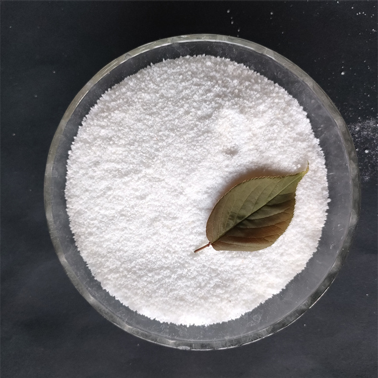 �۱�ϩ�����DƬ