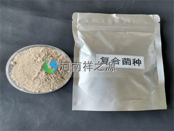 �����Џ�(f��)�Ͼ��N