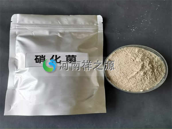 �d��������N