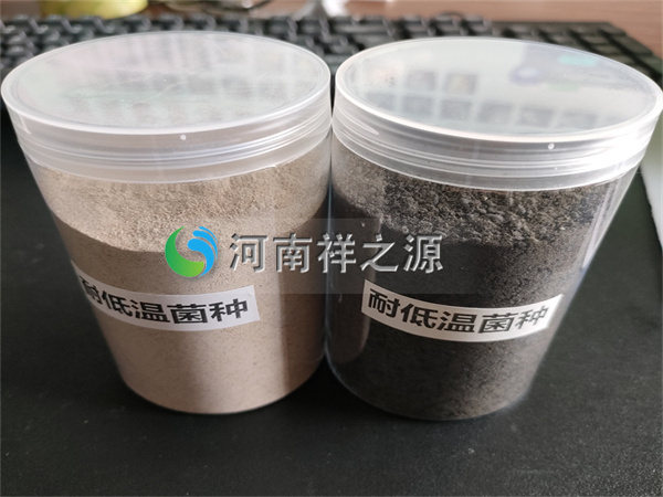 �d��͵͜ؾ��N